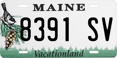 ME license plate 8391SV