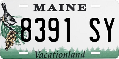 ME license plate 8391SY