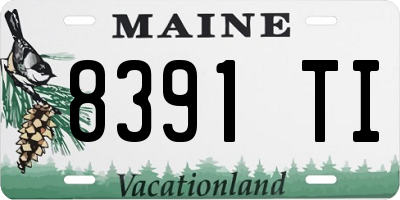 ME license plate 8391TI