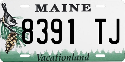 ME license plate 8391TJ