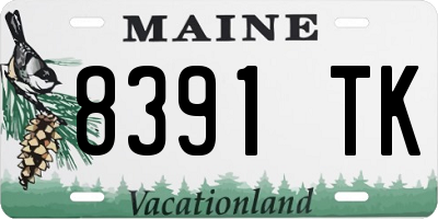 ME license plate 8391TK