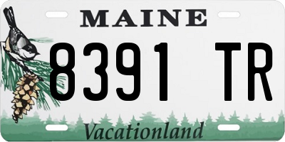 ME license plate 8391TR