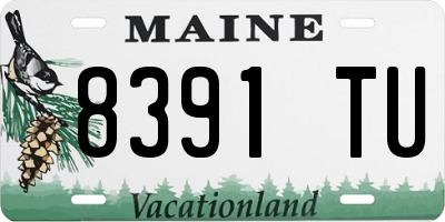 ME license plate 8391TU