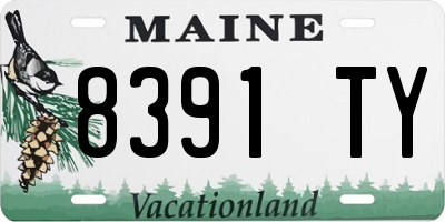 ME license plate 8391TY