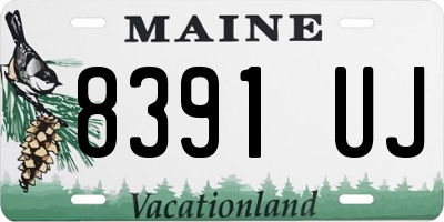 ME license plate 8391UJ