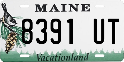 ME license plate 8391UT