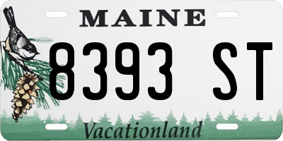 ME license plate 8393ST