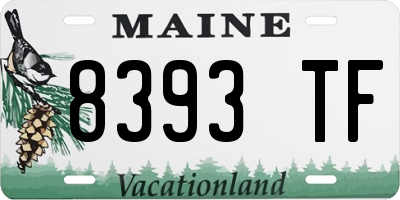 ME license plate 8393TF