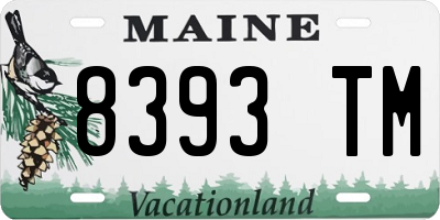 ME license plate 8393TM
