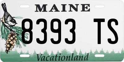 ME license plate 8393TS