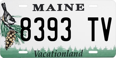 ME license plate 8393TV