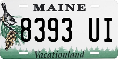 ME license plate 8393UI