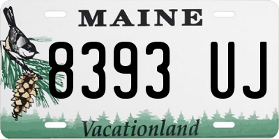 ME license plate 8393UJ