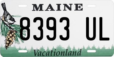 ME license plate 8393UL