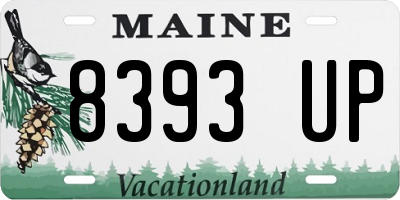 ME license plate 8393UP