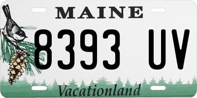 ME license plate 8393UV