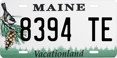 ME license plate 8394TE