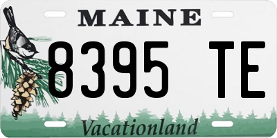 ME license plate 8395TE