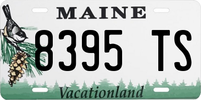 ME license plate 8395TS