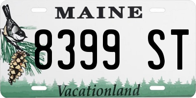 ME license plate 8399ST