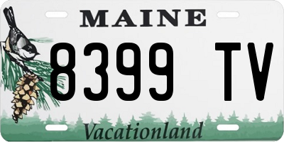 ME license plate 8399TV