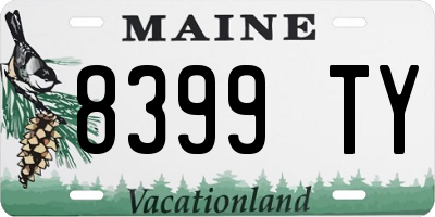 ME license plate 8399TY