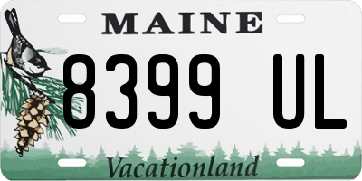 ME license plate 8399UL