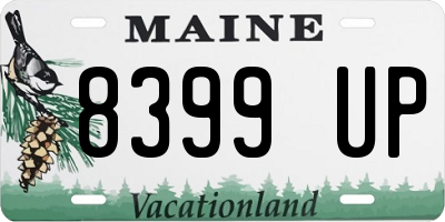 ME license plate 8399UP