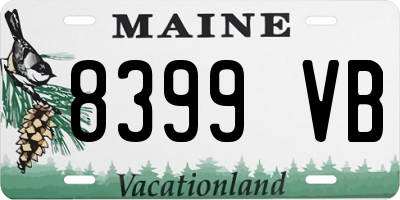 ME license plate 8399VB