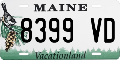 ME license plate 8399VD