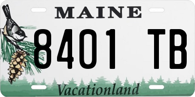 ME license plate 8401TB