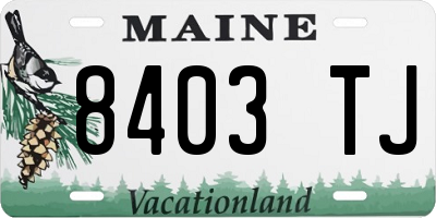 ME license plate 8403TJ