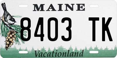 ME license plate 8403TK