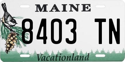 ME license plate 8403TN