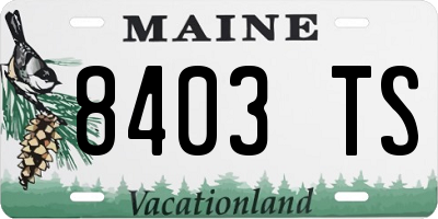 ME license plate 8403TS