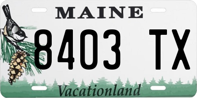 ME license plate 8403TX