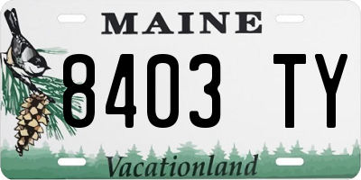 ME license plate 8403TY