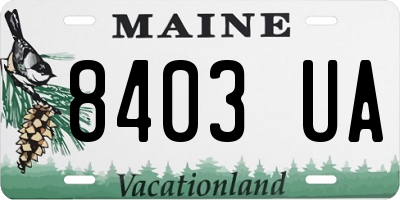 ME license plate 8403UA