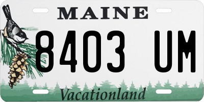 ME license plate 8403UM