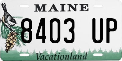ME license plate 8403UP