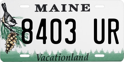 ME license plate 8403UR