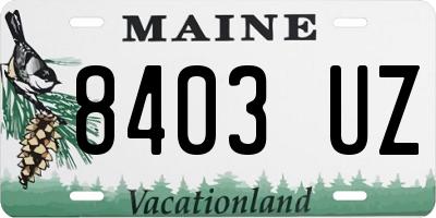 ME license plate 8403UZ