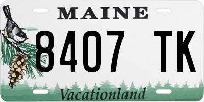 ME license plate 8407TK