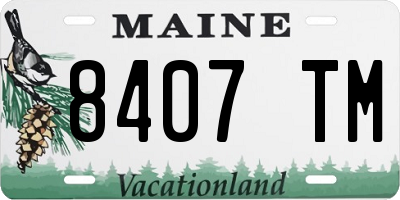 ME license plate 8407TM