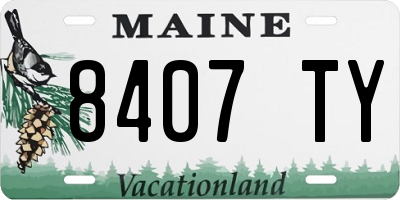 ME license plate 8407TY