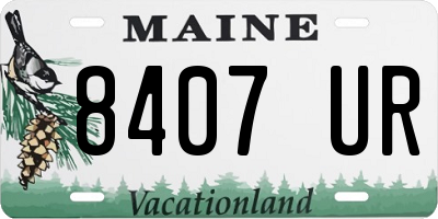 ME license plate 8407UR