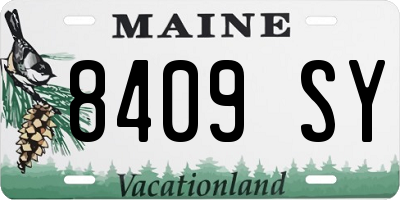 ME license plate 8409SY