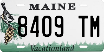ME license plate 8409TM