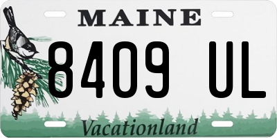 ME license plate 8409UL