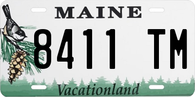 ME license plate 8411TM